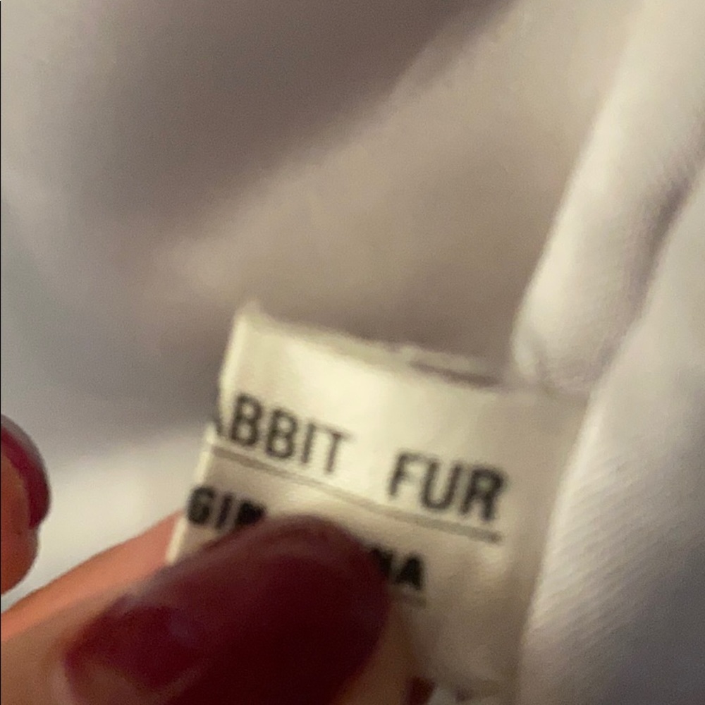 Beautiful Rabbit Fur - Picture 3 of 3